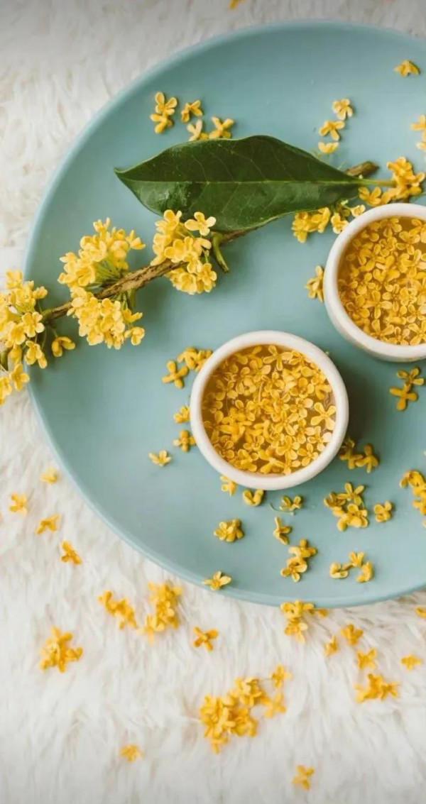 一日一詩/桂花開了 我便想你了 一日一詩/桂花開了 我便想你了