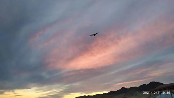 烏倫古湖邊撿到心儀的戈壁玉