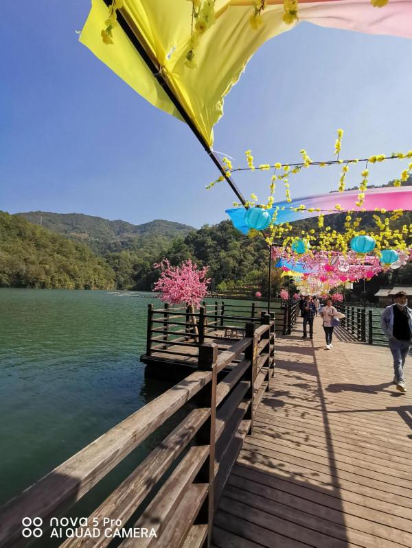 年初三，看風景