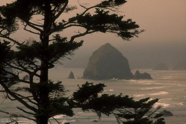 觀卦卦辭釋義 觀卦卦辭釋義