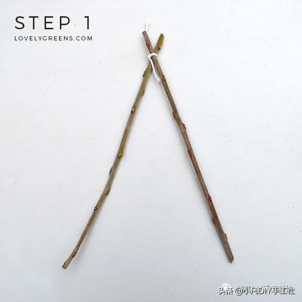 枯枝創意改造,獨一無二的天然美 枯枝創意改造,獨一無二的天然美