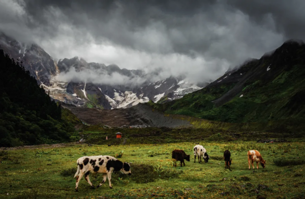 2022我不想再猶豫！旅行第一站，西藏