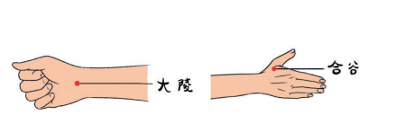 健康悅讀｜&vert;《中醫幫你看急症&mdash;&mdash;北京中醫醫院院長為您健康把脈》選登18：巧按穴位，防治痛風