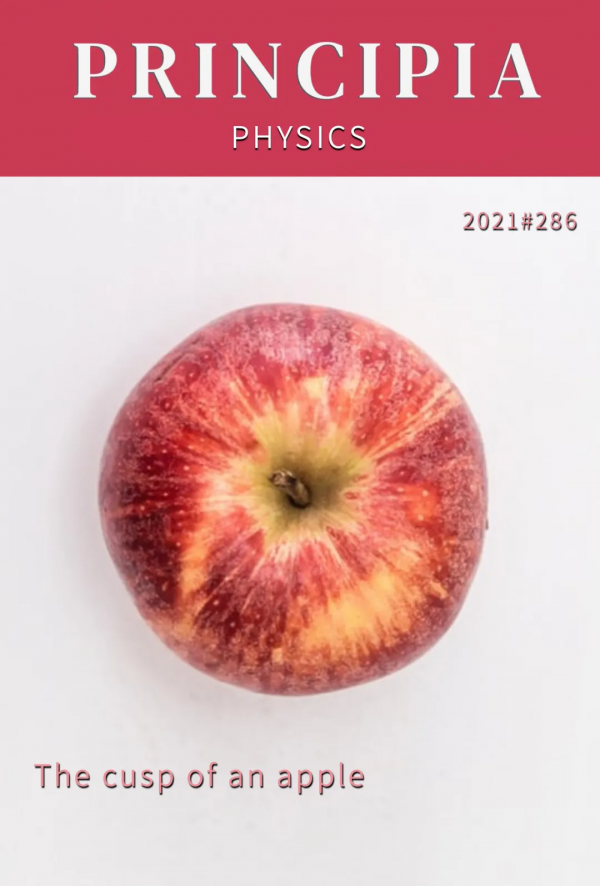 一種司空見慣的奇點 一種司空見慣的奇點