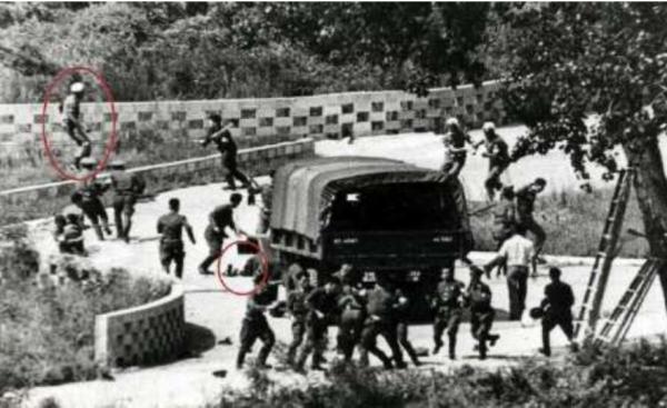 1976年朝韓邊境的一棵樹，險些引發二次朝戰，2名美軍當場被打死