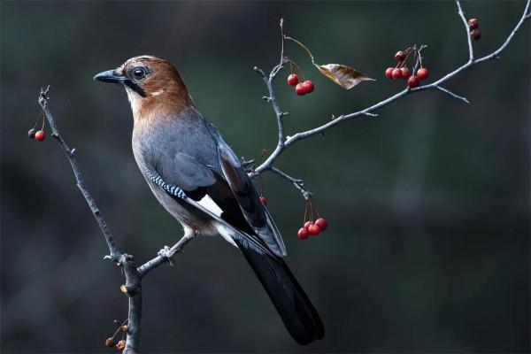 做人,一定要狠狠賺錢 做人,一定要狠狠賺錢