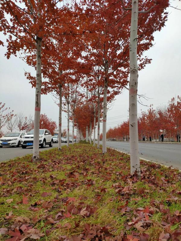 一葉知秋！！！