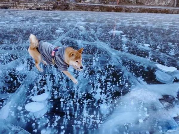 北京冬天去哪看冰瀑?收好,這10個人少景美的好地方 北京冬天去哪看冰瀑?收好,這10個人少景美的好地方