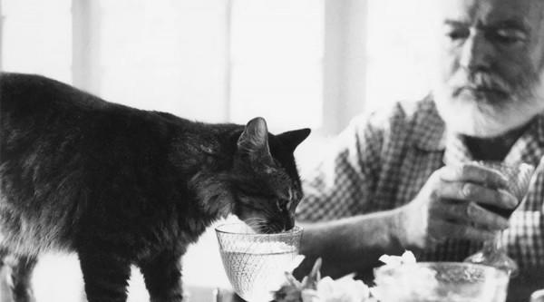 開槍自殺前，海明威留給世界的最後一句話：晚安，我的小貓咪