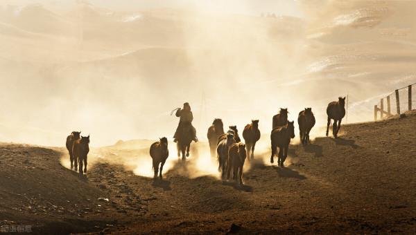 自駕遊西安到額濟納,行程3000多公里,走河西走廊還是寧夏內蒙古 自駕遊西安到額濟納,行程3000多公里,走河西走廊還是寧夏內蒙古