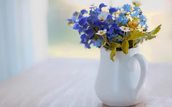 讀書筆記：讀愛默生《論自然》所感