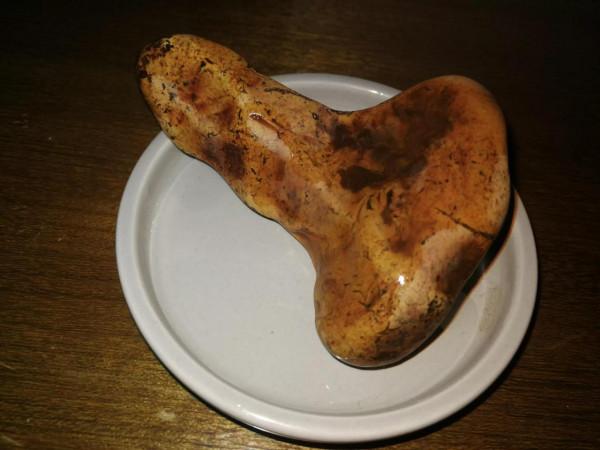 灤河藝術石鑑賞（17）