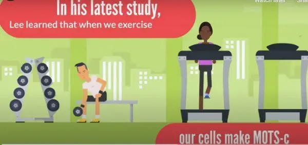 重返年輕不是夢!這種“運動蛋白”可以提高運動能力,延長壽命 重返年輕不是夢!這種“運動蛋白”可以提高運動能力,延長壽命