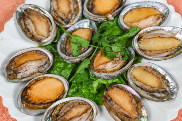 南海有家老字號農莊！人均40+嘆炭爐雞煲蟹、紅燜黑山羊