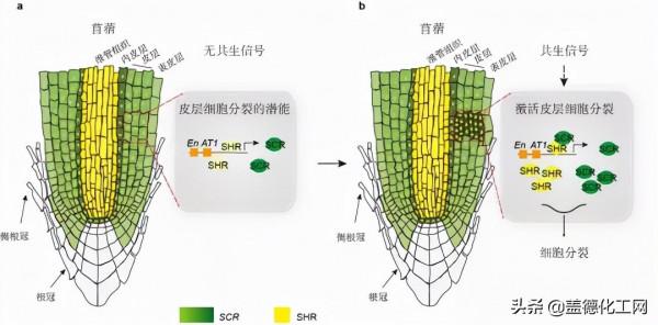 2021中國農業科學10項重大進展