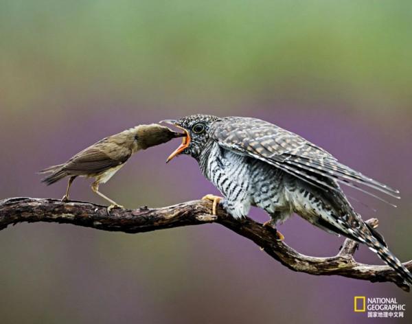 為什麼要保護這麼卑鄙的東西? 為什麼要保護這麼卑鄙的東西?