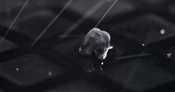 一部黑白電影，充滿腐爛肉香