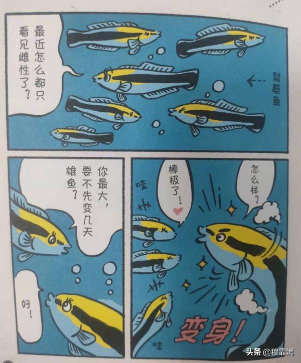 隨意改變性別，還用腳嘗果汁，小動物們可真是任性啊