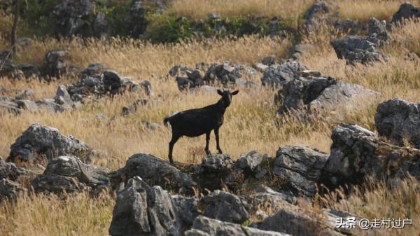 英德巖背石頭城，風光獨特，這裡有傳說中的寶藏
