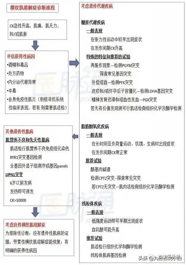 健身上交過的智商稅（第十期）
