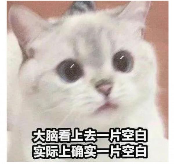 手機產品更新換代這麼快,到底啥時候該換手機? 手機產品更新換代這麼快,到底啥時候該換手機?