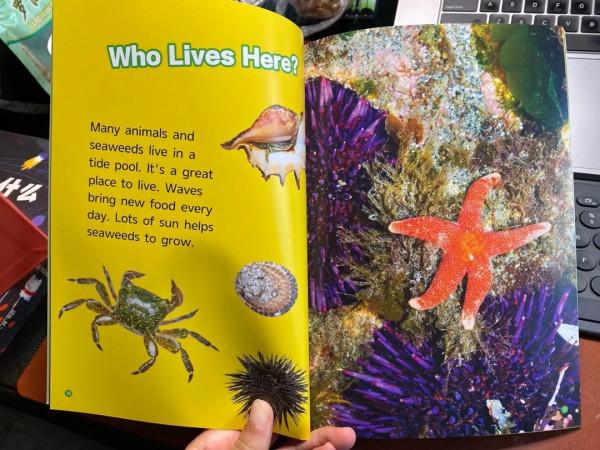 1.4折我愛了!是大家都想要的國家地理 1.4折我愛了!是大家都想要的國家地理