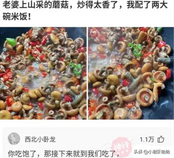 神回覆：如果我把靖國神社炸了，國家會保護我嗎？神評絕了