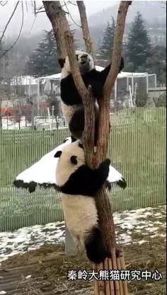 樓觀邀您一起來踏春，喜迎春天