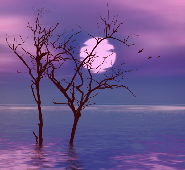 海思滄海詩集（2022年）（25）之《明天還有多少美好》