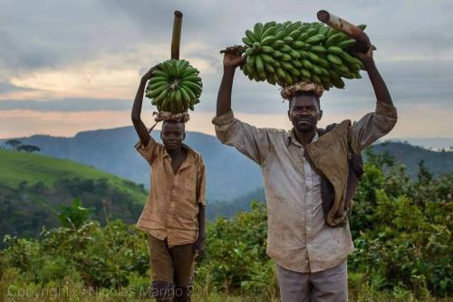 歷史上的今天｜12月21日，有哪些你不知道的重要事件發生？