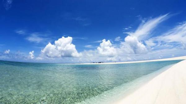 有了這些方法，和夏天蚊蟲說：拜拜