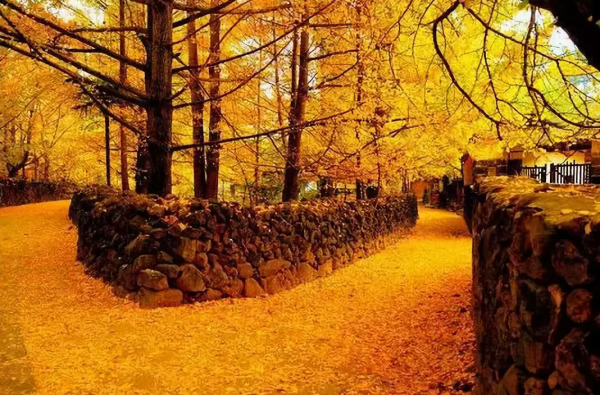 最適合11月份去的12個地方，挑上一個，住個三五天，治癒疲憊的心