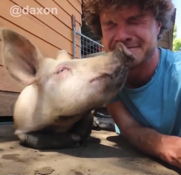 澳洲小哥靠一組照片成為“年度網紅”:絕了,每隻動物都會笑? 澳洲小哥靠一組照片成為“年度網紅”:絕了,每隻動物都會笑?