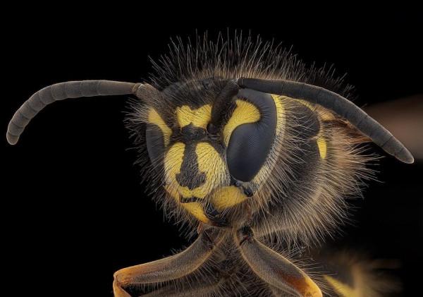 一組日常常見物品的微觀照片，微觀世界原來這麼美