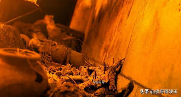 靈媒+詛咒降生於同一個人,豆瓣7分的泰國恐怖片,詮釋信仰的真諦 靈媒+詛咒降生於同一個人,豆瓣7分的泰國恐怖片,詮釋信仰的真諦