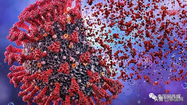 奧密克戎，是泰國的解藥，還是毒藥？