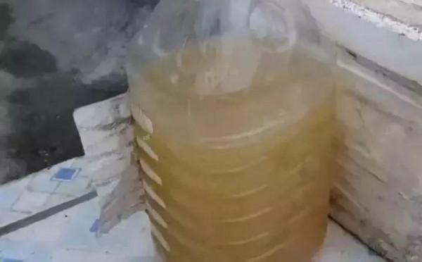 淘米水加點料,沒有異味,肥效能翻10倍,養啥花都旺 淘米水加點料,沒有異味,肥效能翻10倍,養啥花都旺