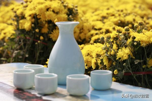 晏幾道兩首重陽詞賞：九日悲秋不到心，綠杯紅袖趁重陽