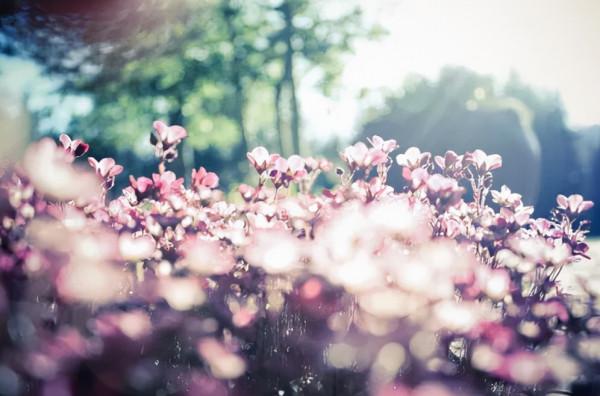 偏是孤眠者 愁心此夜生,十四首不寐的詩詞,寫給失眠者 偏是孤眠者 愁心此夜生,十四首不寐的詩詞,寫給失眠者