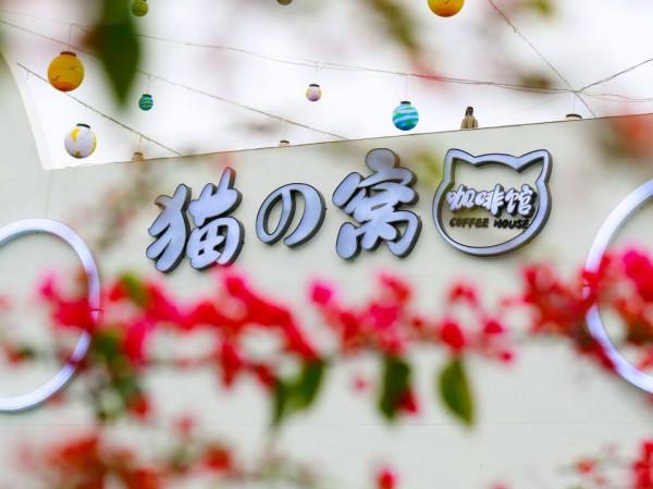 網紅野奢露營,望星而眠——聞鳥而醒,暢玩整個週末 網紅野奢露營,望星而眠——聞鳥而醒,暢玩整個週末