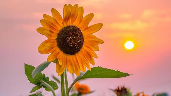 神經內科專家：腦梗來臨，身體3個月前就有“暗示”，別不當回事