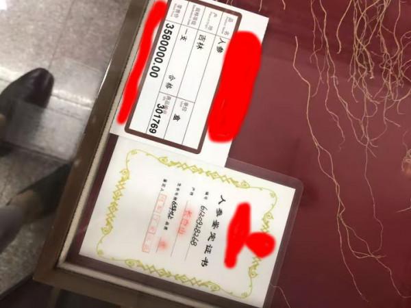 林下參雖好，但當下市場有幾個真貨？