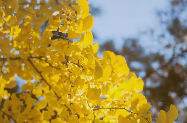 11月，必去的10個古村落，每一個都美得獨特，讓你不想離開