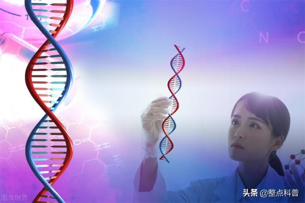 一斗窮、二斗富?康熙10個“簸箕”,中科院發現鬥與簸箕的奧秘 一斗窮、二斗富?康熙10個“簸箕”,中科院發現鬥與簸箕的奧秘