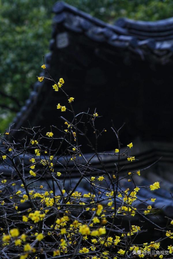 煙雨江南，水韻湖州——雪不來，聽雨也是一種心境