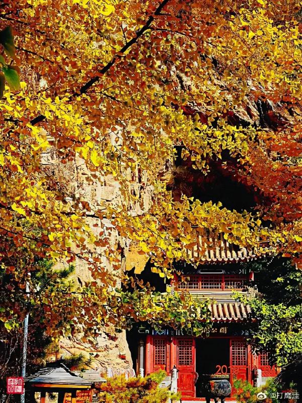 京郊藏了一條絕美國道，承包了京城最美秋色，秋意正濃，如詩如畫