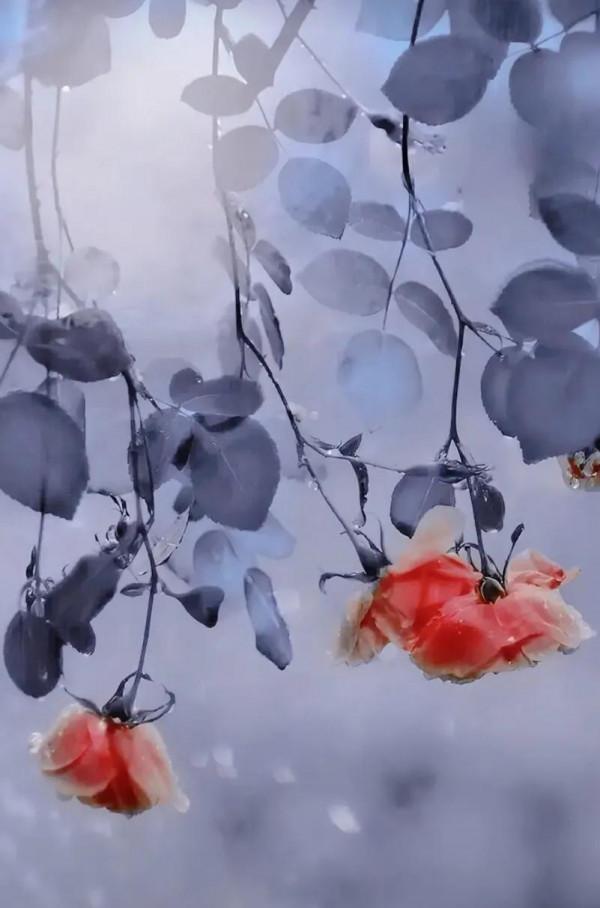 為什麼今年元旦會讓人特別期待？