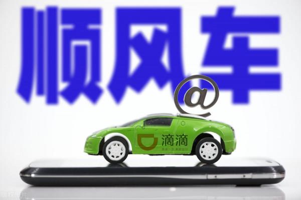 哈囉、一喂順風車前赴後繼，“毛孩子”實現出門自由還有多遠？