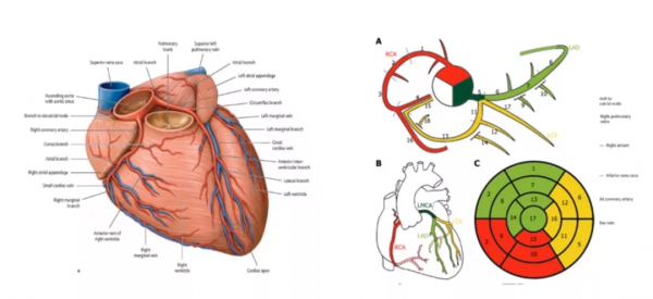72歲老人發現血管“堵塞”，要加號住院放支架，醫生當場拒絕