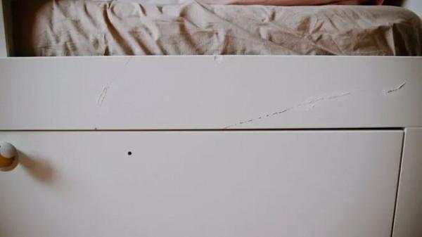 德國&quot;李子柒&quot;爆改農房過田園生活，連洗衣粉都自制